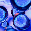 Is stem cell therapy legal in the uk?