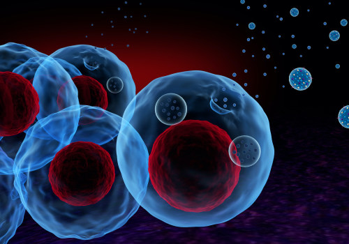 How are exosomes identified?